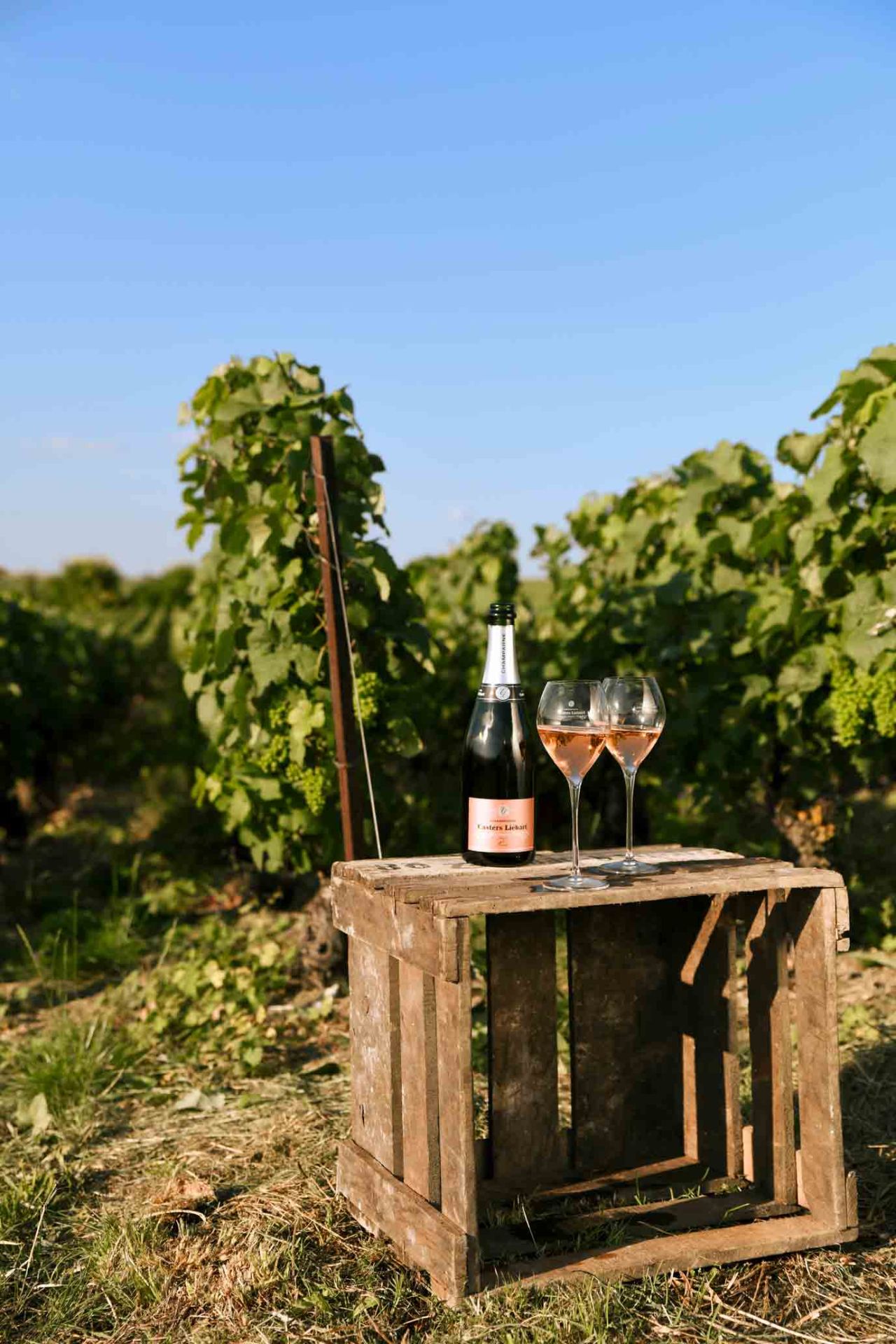 Champagner Flasche und Glaeser auf Holzkiste in den Weinreben, mit blauem Himmel im Hintergrund